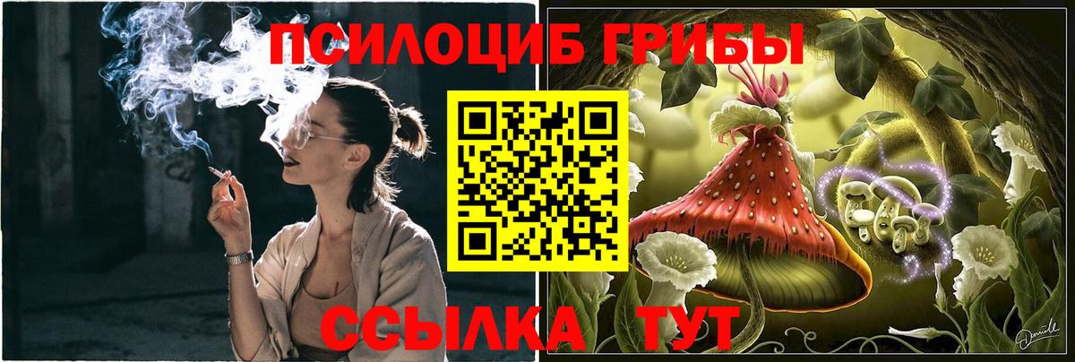 Благодарный  Псилоцибиновые грибы Psilocybine cubensis  Вход с VPN 